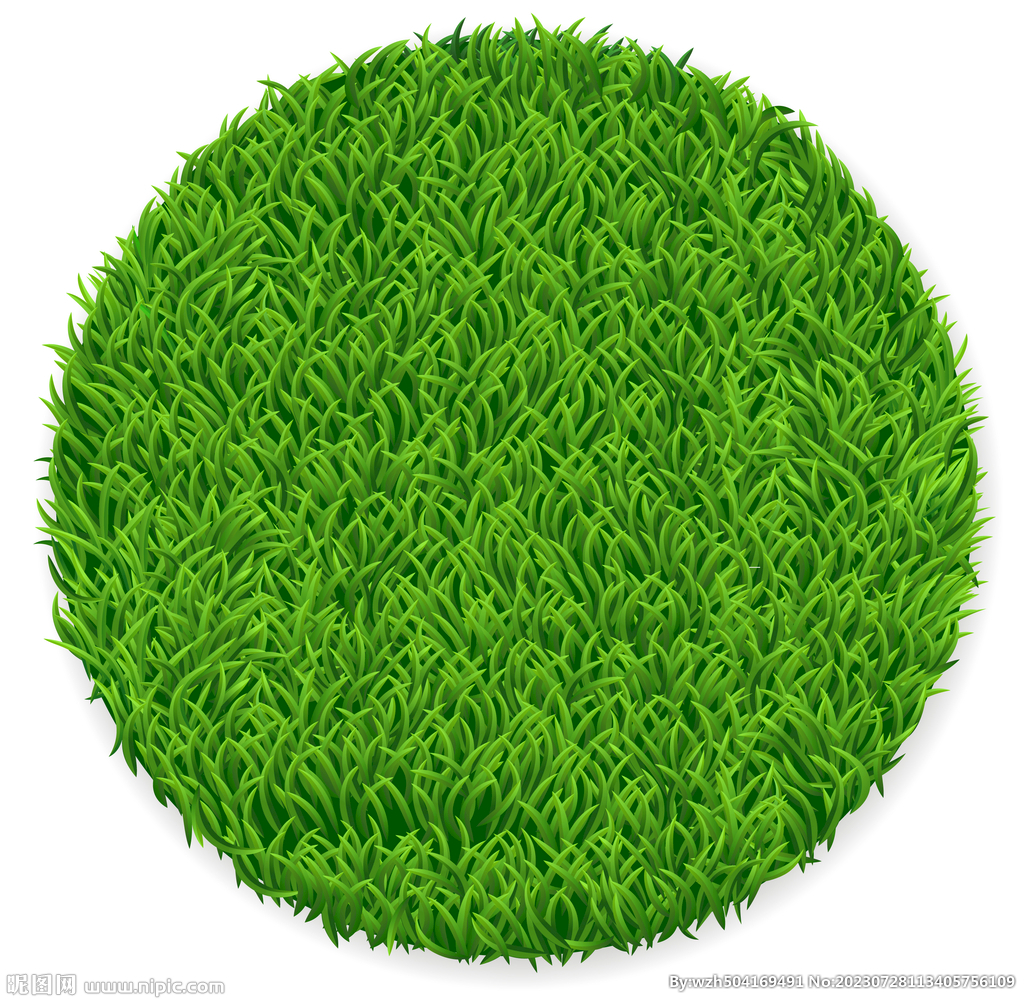 圆形 草坪