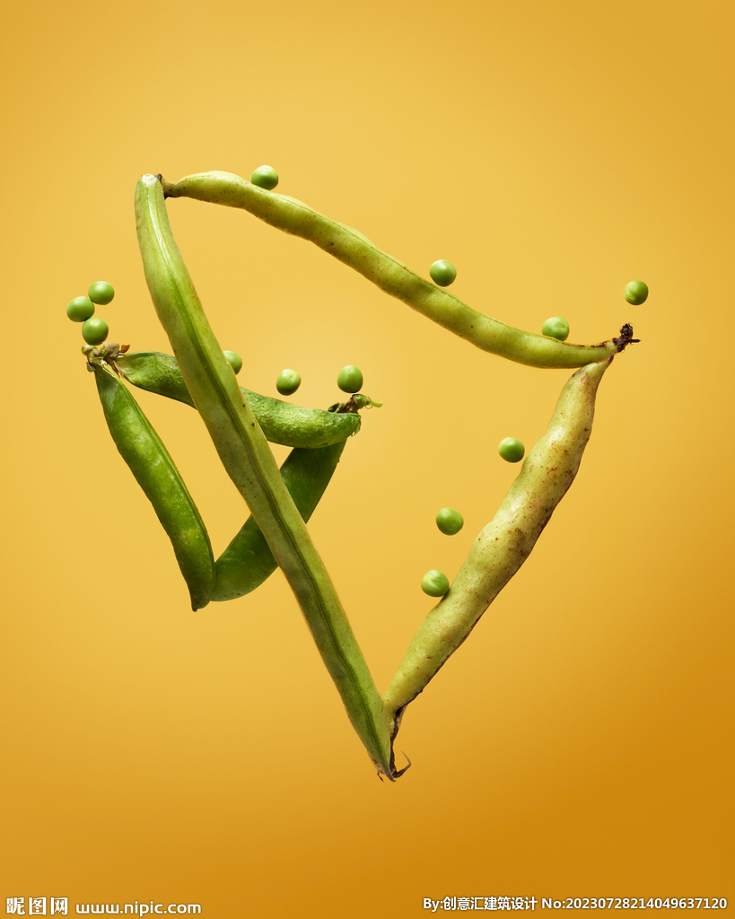 豆荚