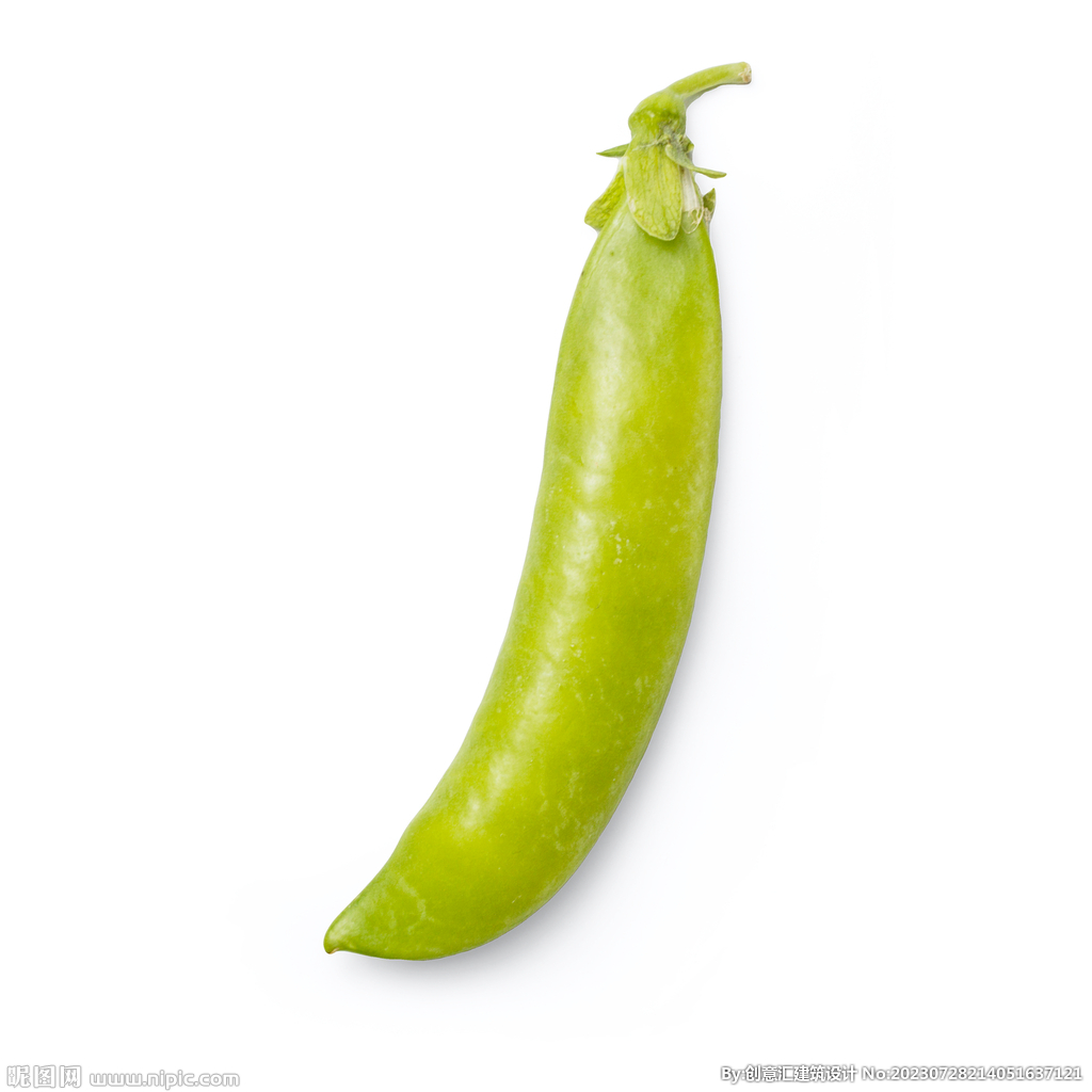 豆荚