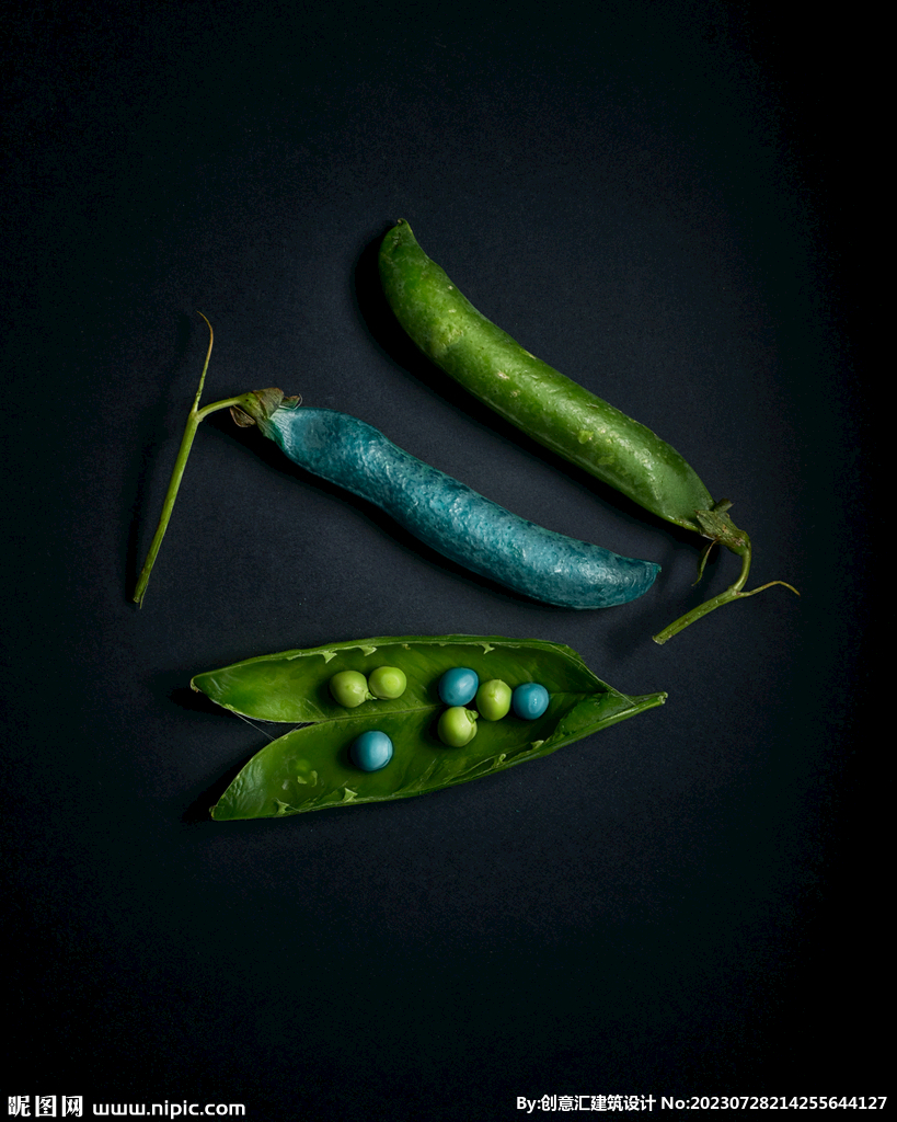 豆荚