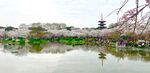 湖边景色