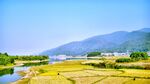 乡村风光