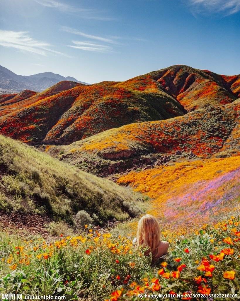 漫山遍野的花