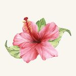 花草