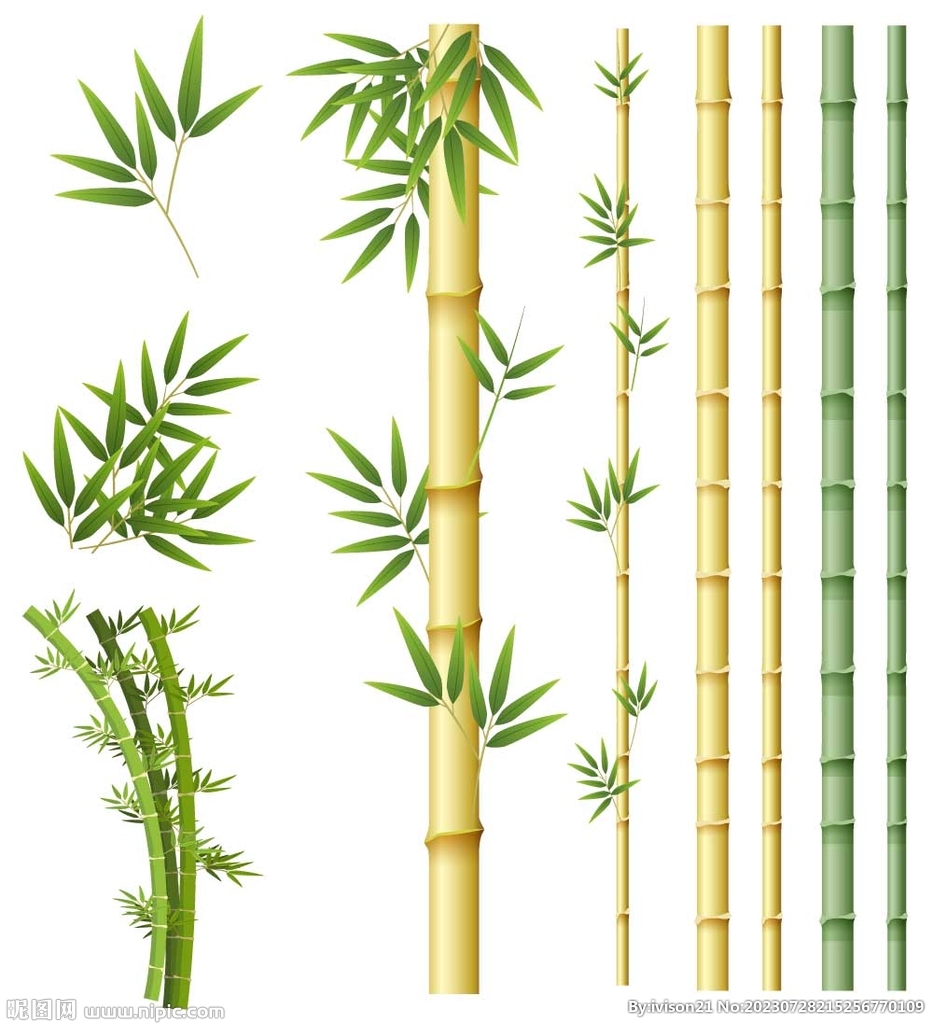 竹林