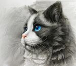 猫头素描