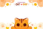猫图片