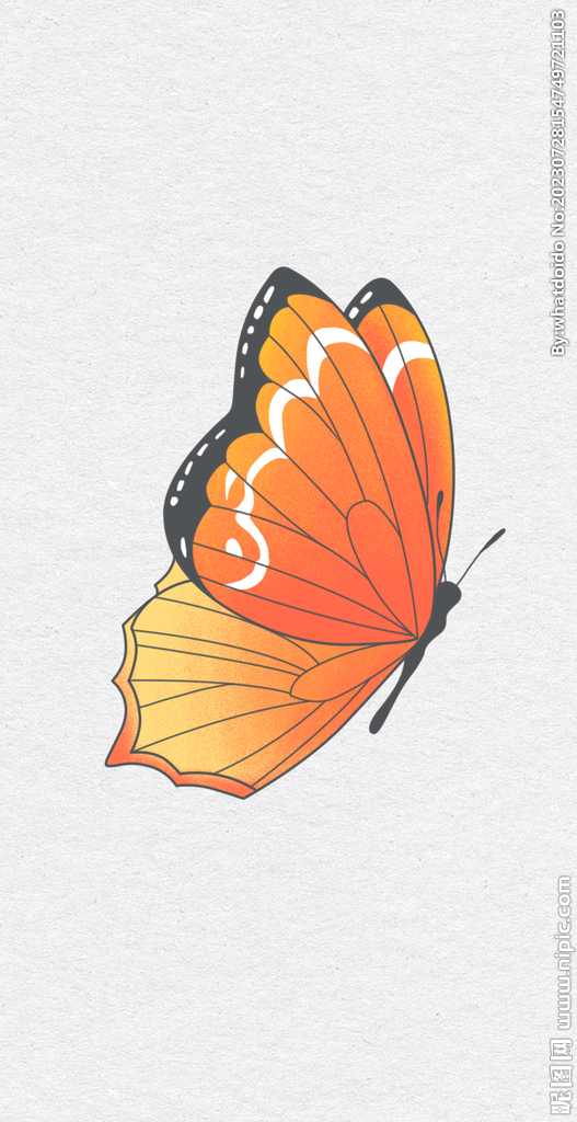 手绘漂亮的花蝴蝶