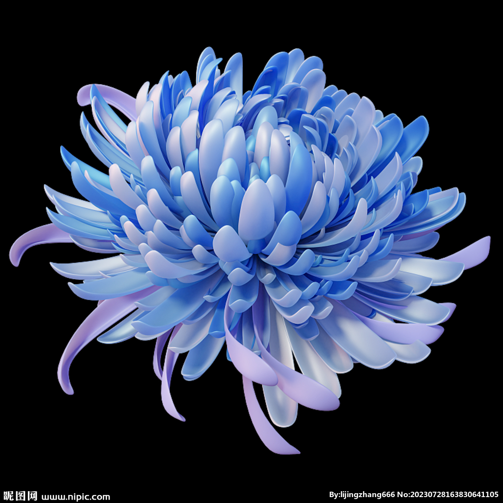 3D渐变菊花