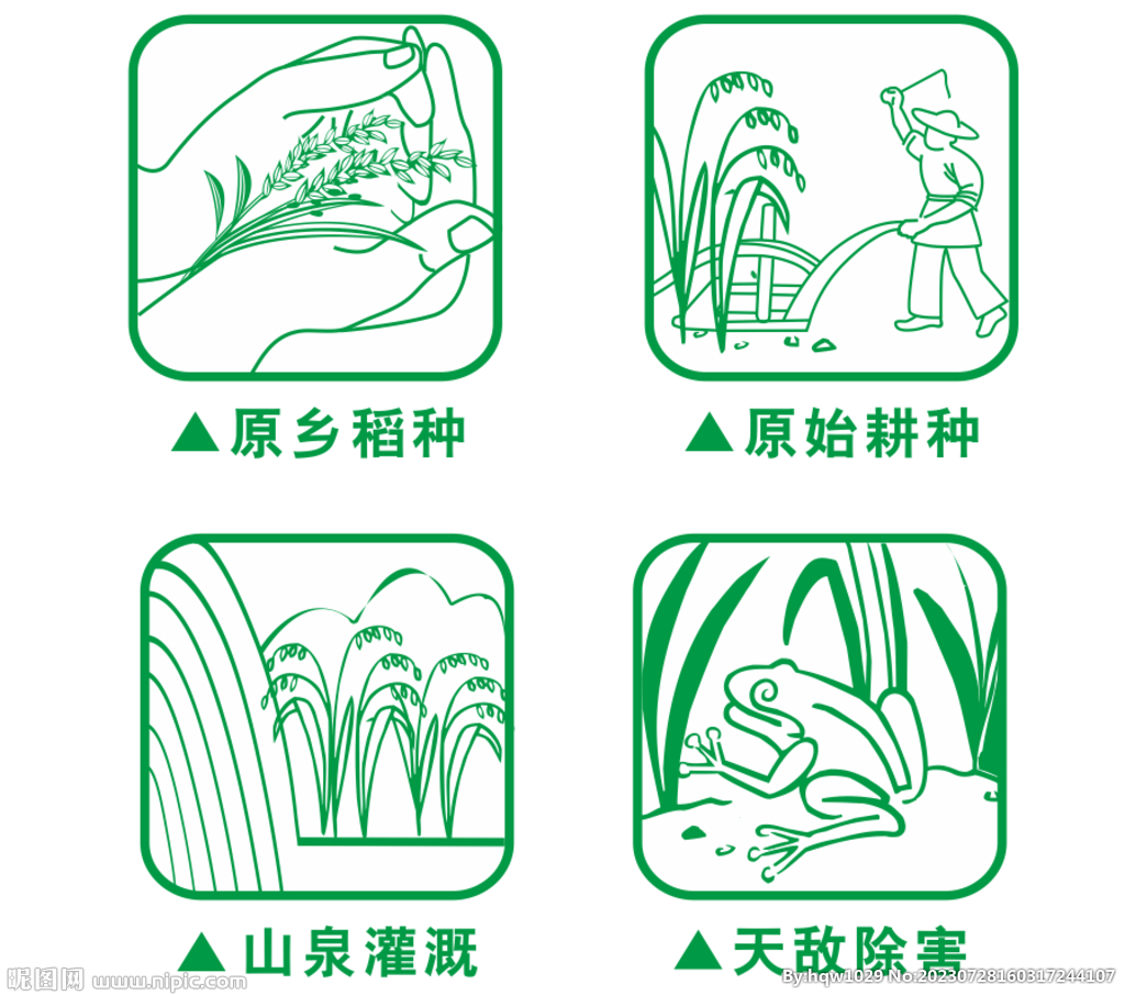稻穗
