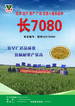 农资宣传页