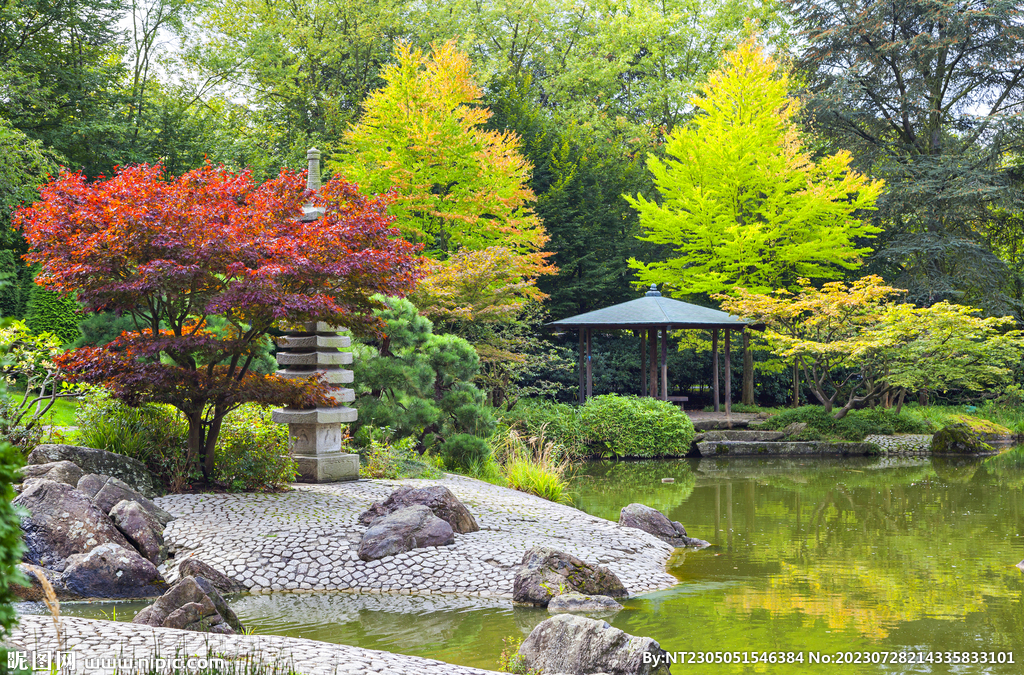 花园风景