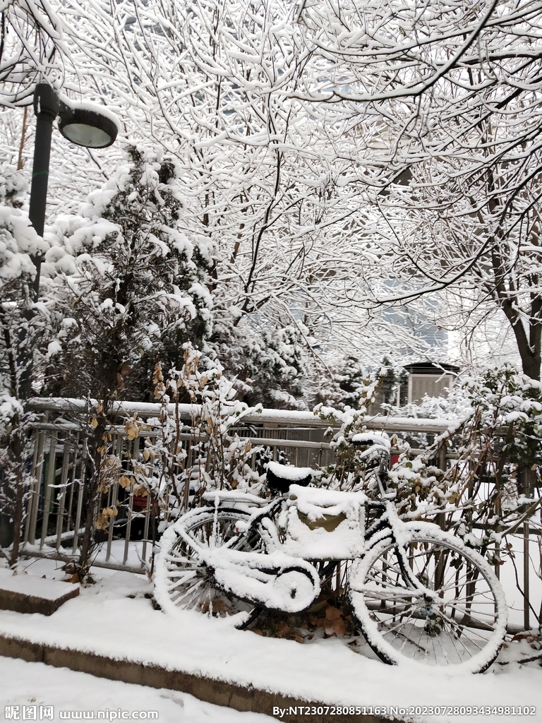 被历史记录的雪