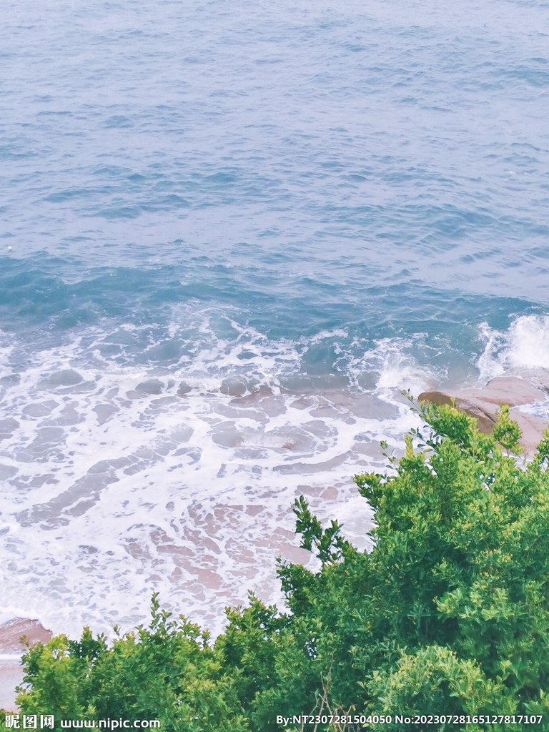 海浪 绿叶 礁石