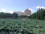 遗爱湖公园