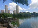 水岸风光