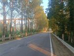 道路