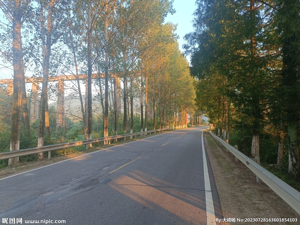 道路