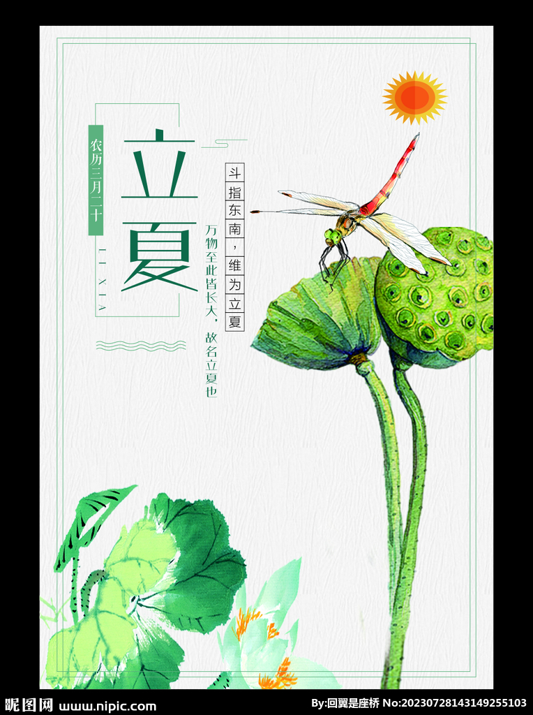 荷花背景