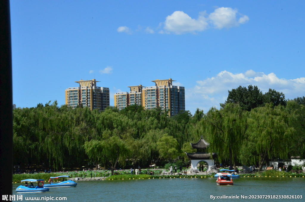 公园风景 
