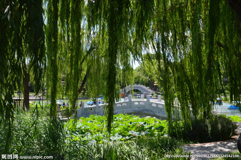 公园风景