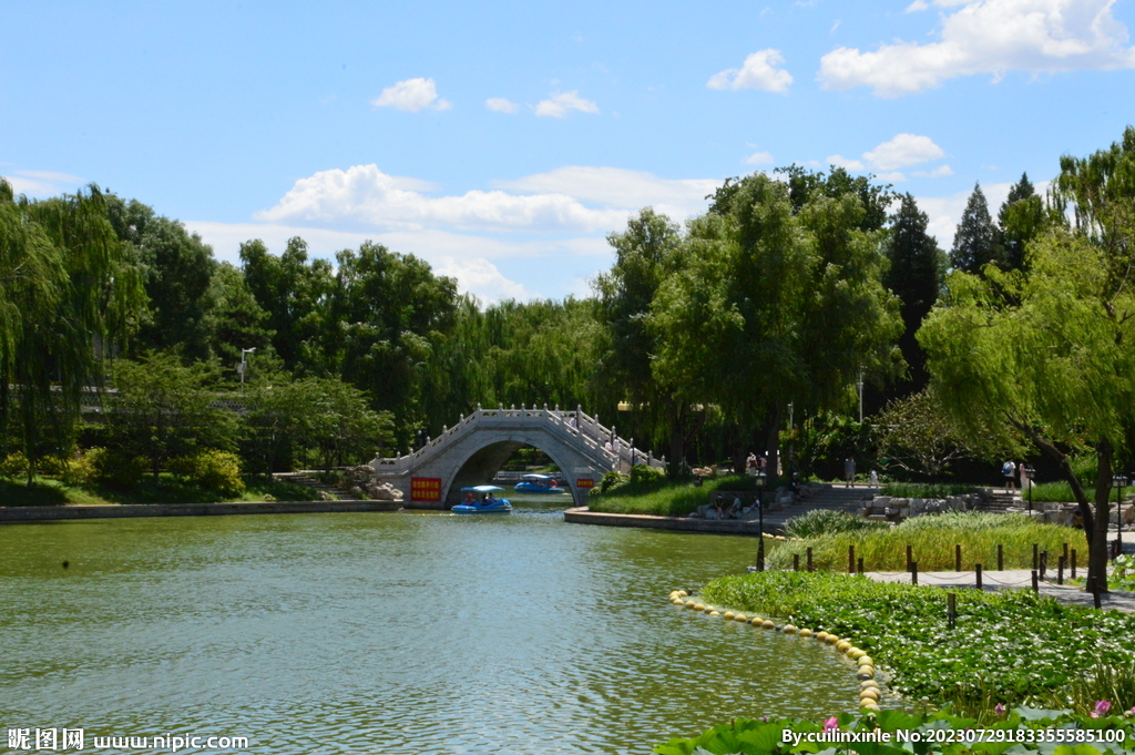 公园风景 