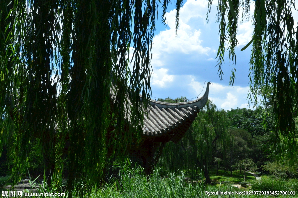 公园风景 