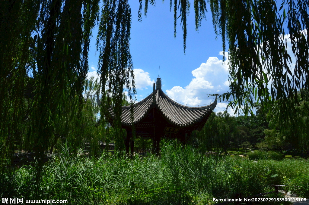 公园风景 