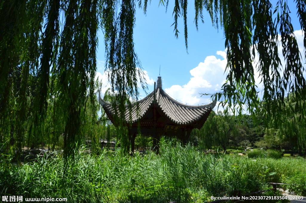 公园风景 