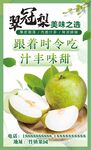 翠冠梨 海报