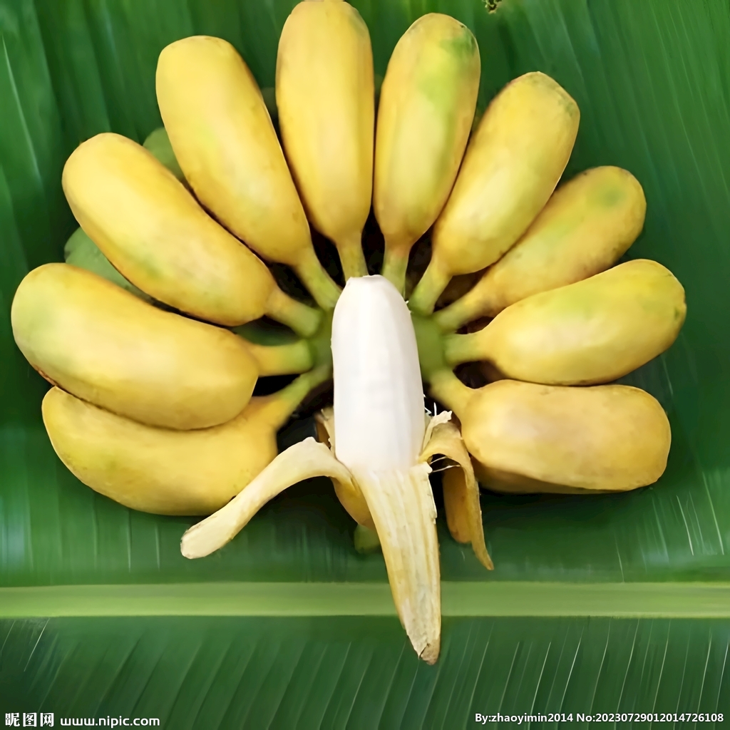 香蕉