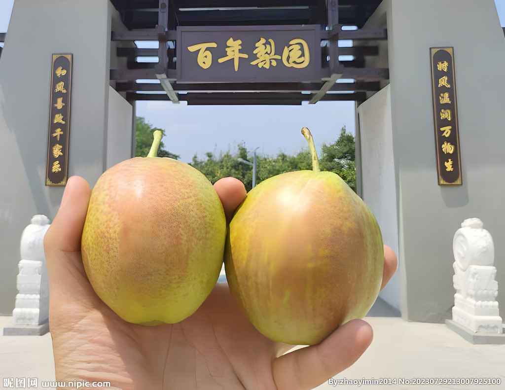 香梨