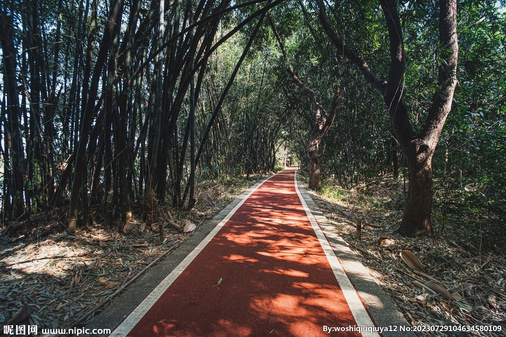 林间小路