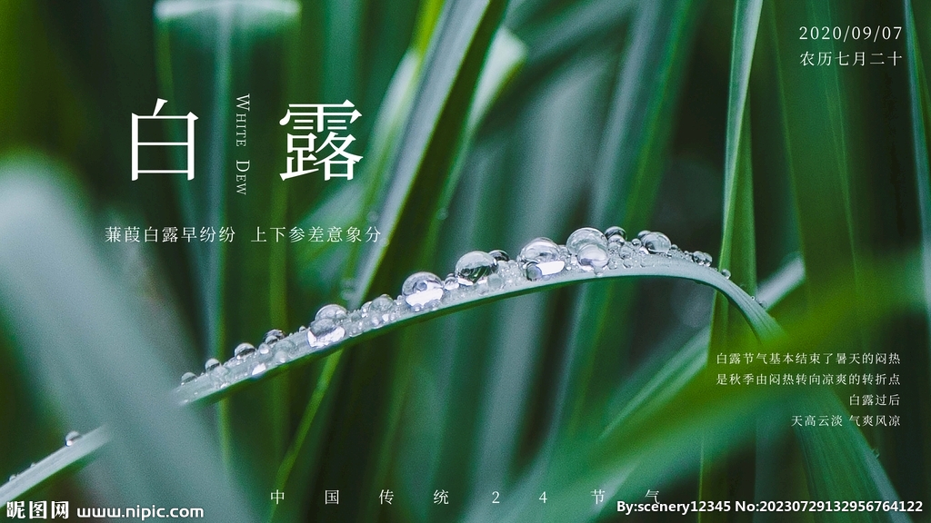 白露海报