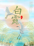 白露海报