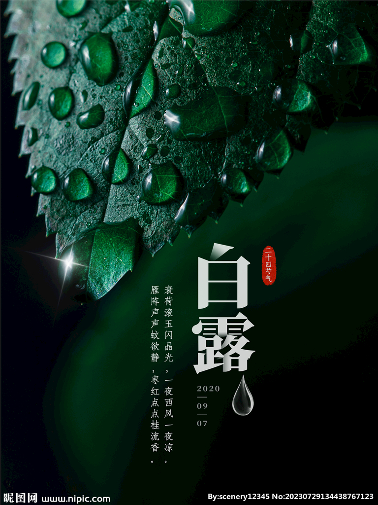 白露海报