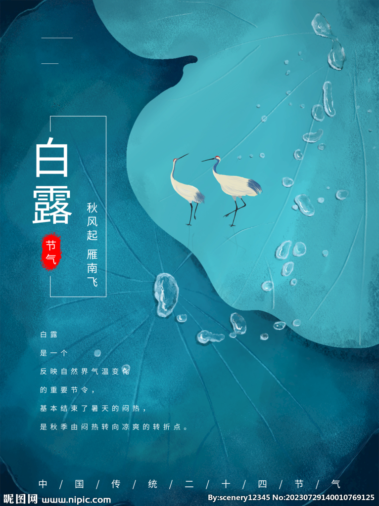 白露海报