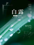 白露海报