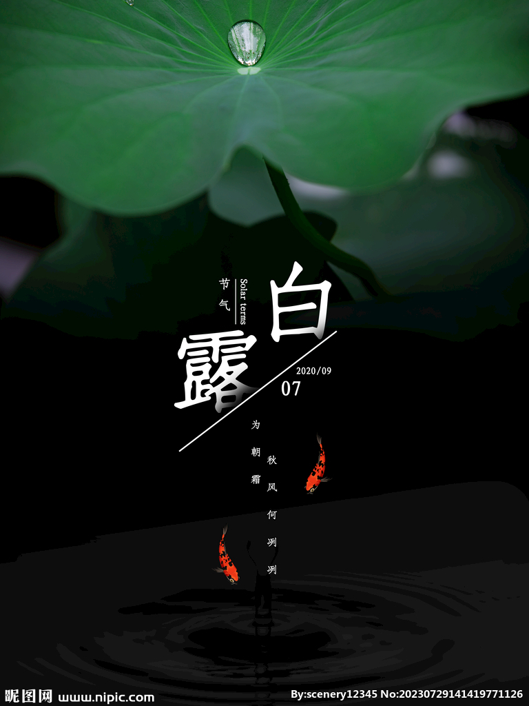 白露海报