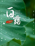 白露海报