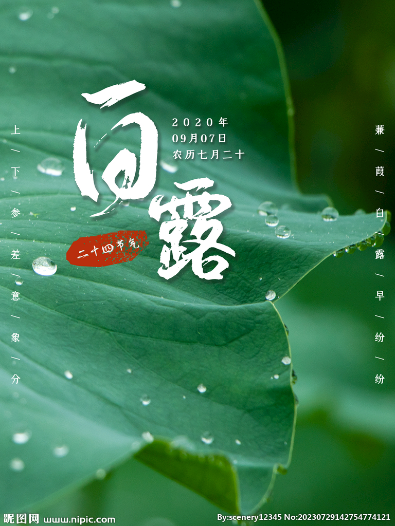 白露海报