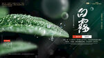 白露海报
