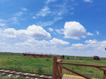 鄂尔多斯大草原小火车