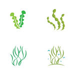 海草logo