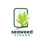 海草logo