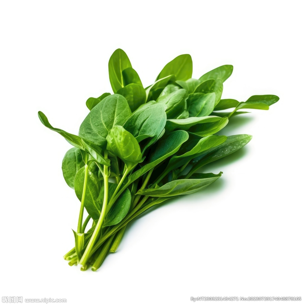 菠菜 
