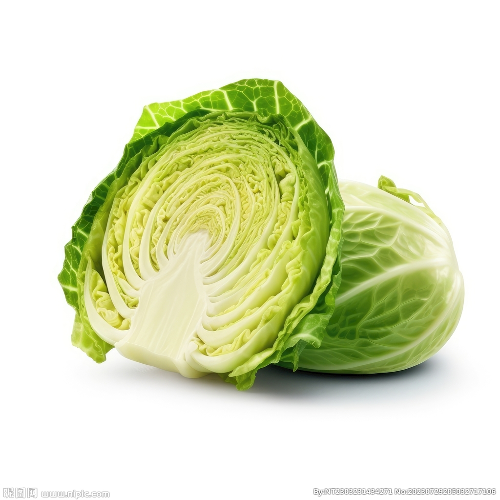 包菜 