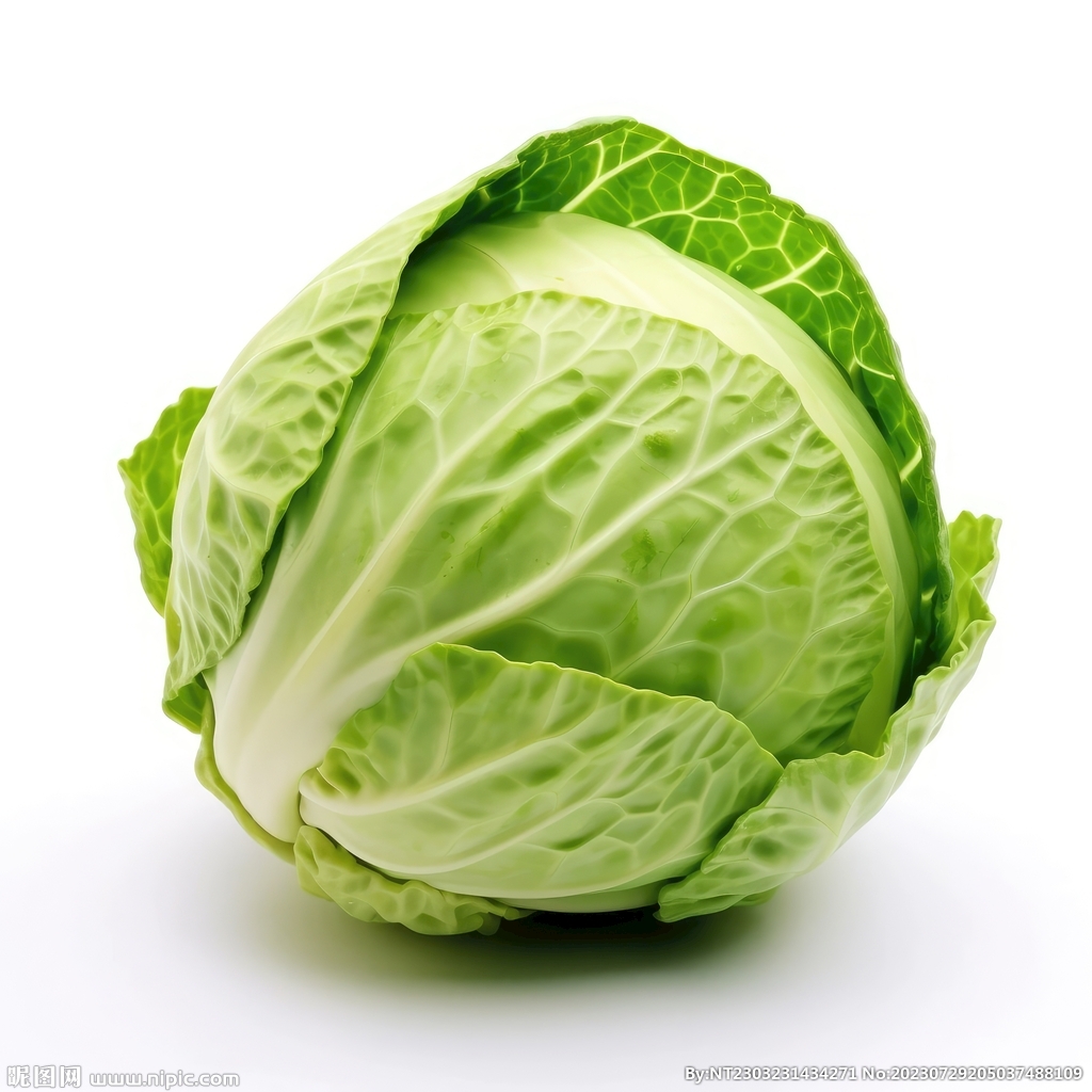 包菜