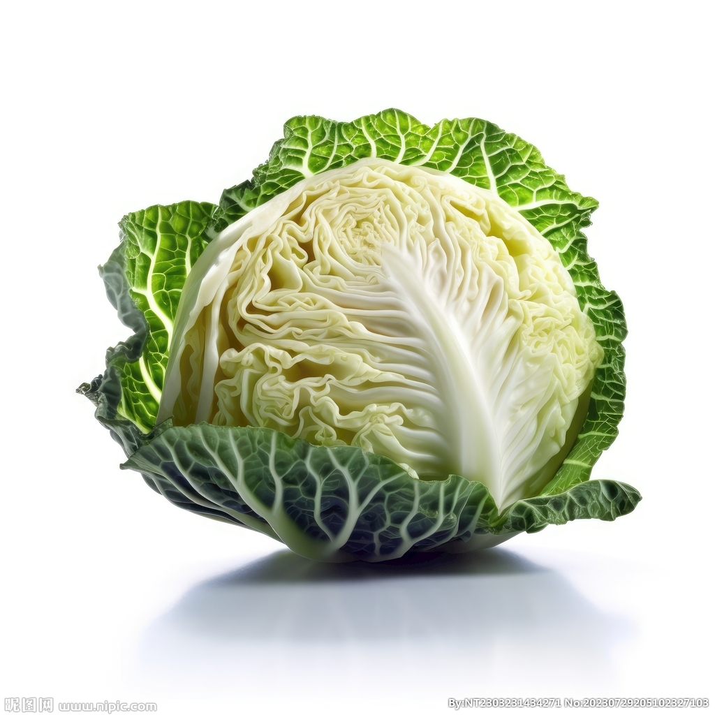 包菜
