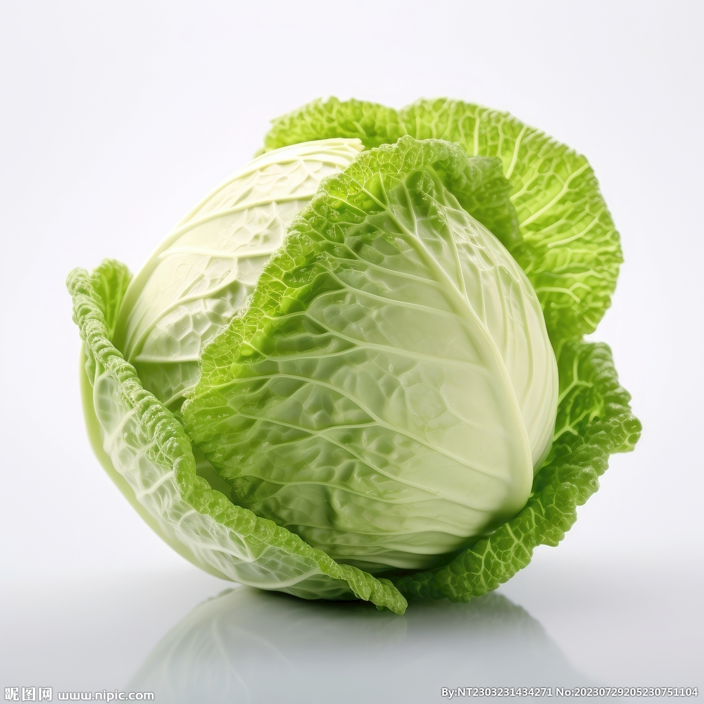 包菜 